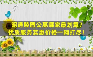昭通陵园公墓哪家最划算？优质服务实惠价格一网打尽！