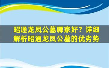 昭通龙凤公墓哪家好？详细解析昭通龙凤公墓的优劣势