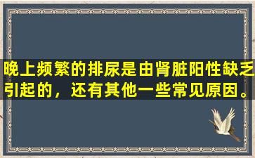 晚上频繁的排尿是由肾脏阳性缺乏引起的，还有其他一些常见原因。常用中国专利药物的清单