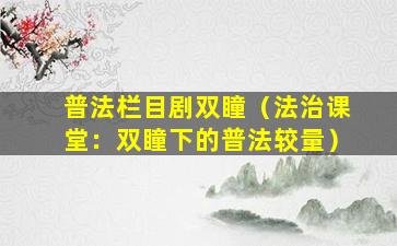 普法栏目剧双瞳（法治课堂：双瞳下的普法较量）