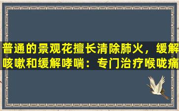 普通的景观花擅长清除肺火，缓解咳嗽和缓解哮喘：专门治疗喉咙痛，过度痰和咳嗽