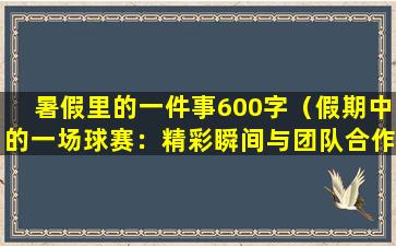 暑假里的一件事600字（假期中的一场球赛：精彩瞬间与团队合作）
