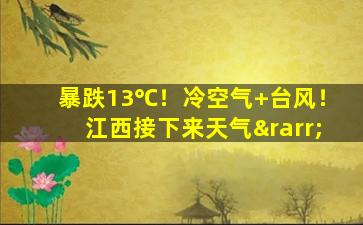 暴跌13℃！冷空气+台风！江西接下来天气→
