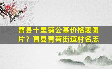 曹县十里铺公墓价格表图片？曹县青菏街道村名志