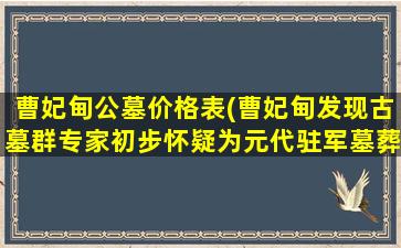 曹妃甸公墓价格表(曹妃甸发现古墓群专家初步怀疑为元代驻军墓葬)