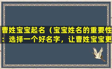 曹姓宝宝起名（宝宝姓名的重要性：选择一个好名字，让曹姓宝宝更受欢迎）