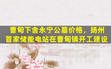 曹甸下舍永宁公墓价格，扬州首家储能电站在曹甸镇开工建设