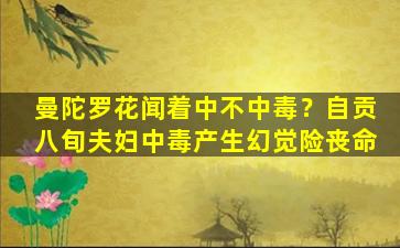 曼陀罗花闻着中不中毒？自贡八旬夫妇中毒产生幻觉险丧命