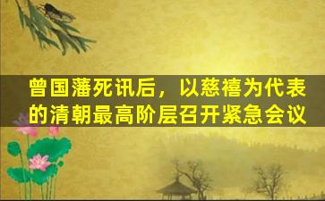 曾国藩死讯后，以慈禧为代表的清朝最高阶层召开紧急会议