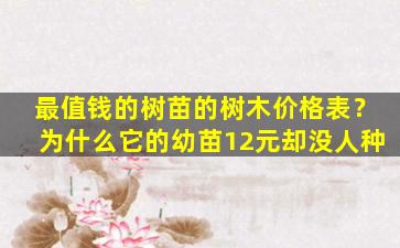 最值钱的树苗的树木价格表？为什么它的幼苗12元却没人种