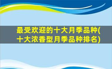 最受欢迎的十大月季品种(十大浓香型月季品种排名)