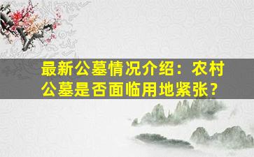最新公墓情况介绍：农村公墓是否面临用地紧张？
