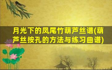 月光下的凤尾竹葫芦丝谱(葫芦丝按孔的方法与练习曲谱)