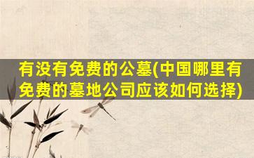 有没有免费的公墓(中国哪里有免费的墓地公司应该如何选择)