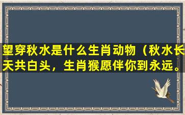 望穿秋水是什么生肖动物（秋水长天共白头，生肖猴愿伴你到永远。）