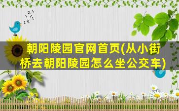朝阳陵园官网首页(从小街桥去朝阳陵园怎么坐公交车)