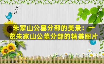 朱家山公墓分部的美景：一览朱家山公墓分部的精美图片