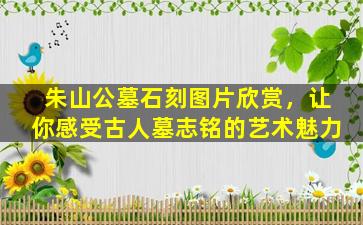 朱山公墓石刻图片欣赏，让你感受古人墓志铭的艺术魅力