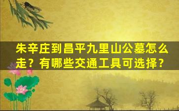 朱辛庄到昌平九里山公墓怎么走？有哪些交通工具可选择？