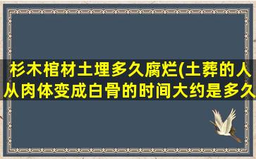 杉木棺材土埋多久腐烂(土葬的人从肉体变成白骨的时间大约是多久)
