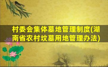 村委会集体墓地管理制度(湖南省农村坟墓用地管理办法)