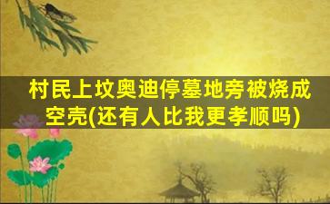 村民上坟奥迪停墓地旁被烧成空壳(还有人比我更孝顺吗)