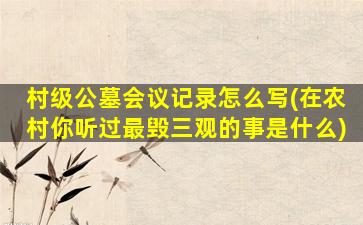 村级公墓会议记录怎么写(在农村你听过最毁三观的事是什么)