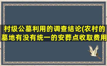村级公墓利用的调查结论(农村的墓地有没有统一的安葬点收取费用合理吗)