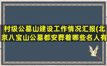 村级公墓山建设工作情况汇报(北京八宝山公墓都安葬着哪些名人有什么故事)