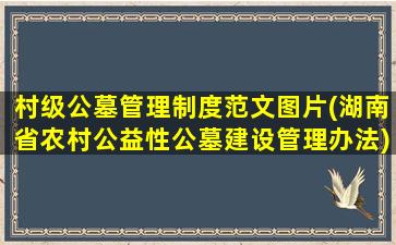 村级公墓管理制度范文图片(湖南省农村公益性公墓建设管理办法)