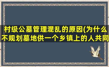 村级公墓管理混乱的原因(为什么不规划墓地供一个乡镇上的人共同使用)