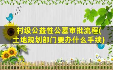 村级公益性公墓审批流程(土地规划部门要办什么手续)