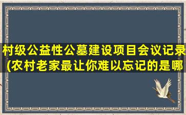 村级公益性公墓建设项目会议记录(农村老家最让你难以忘记的是哪个地方)