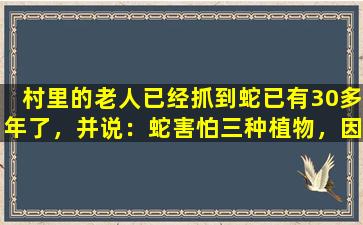 村里的老人已经抓到蛇已有30多年了，并说：蛇害怕三种植物，因此他们在院子里种了一条蛇，敢于再次进入门口。