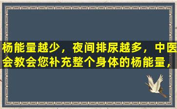 杨能量越少，夜间排尿越多，中医会教会您补充整个身体的杨能量，摆脱频繁的排尿和排尿的紧迫性，并进行更多的夜间排尿