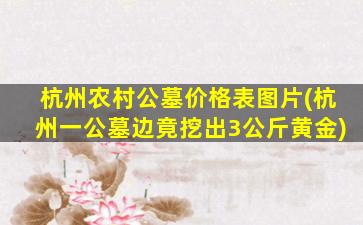 杭州农村公墓价格表图片(杭州一公墓边竟挖出3公斤黄金)