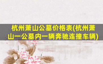 杭州萧山公墓价格表(杭州萧山一公墓内一辆奔驰连撞车辆)