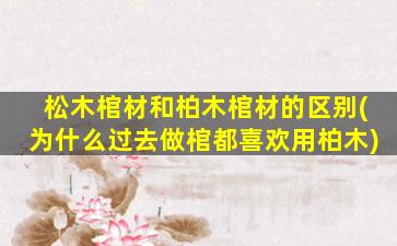 松木棺材和柏木棺材的区别(为什么过去做棺都喜欢用柏木)