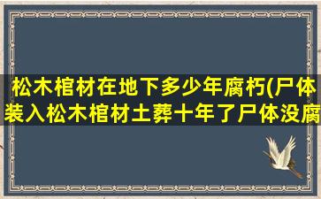 松木棺材在地下多少年腐朽(尸体装入松木棺材土葬十年了尸体没腐烂正常吗)