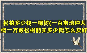 松柏多少钱一棵树(一百亩地种大概一万颗松树能卖多少钱怎么卖好)