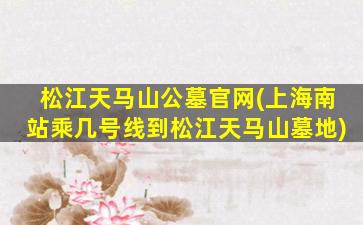 松江天马山公墓官网(上海南站乘几号线到松江天马山墓地)