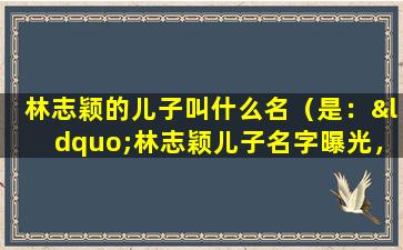 林志颖的儿子叫什么名（是：“林志颖儿子名字曝光，引发网友热议！”）