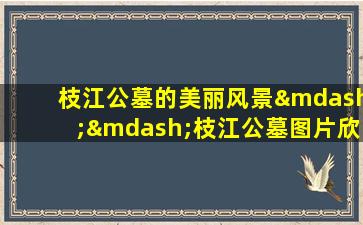 枝江公墓的美丽风景——枝江公墓图片欣赏