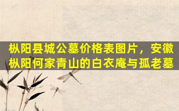 枞阳县城公墓价格表图片，安徽枞阳何家青山的白衣庵与孤老墓