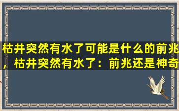 枯井突然有水了可能是什么的前兆，枯井突然有水了：前兆还是神奇？