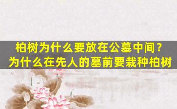 柏树为什么要放在公墓中间？为什么在先人的墓前要栽种柏树