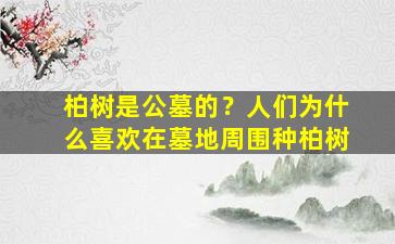 柏树是公墓的？人们为什么喜欢在墓地周围种柏树
