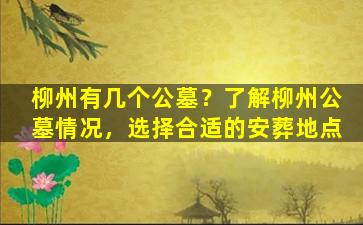 柳州有几个公墓？了解柳州公墓情况，选择合适的安葬地点