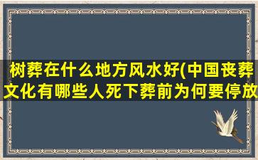 树葬在什么地方风水好(中国丧葬文化有哪些人死下葬前为何要停放3天“头七”指什么)