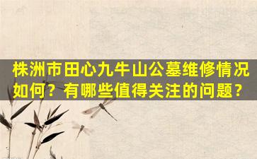 株洲市田心九牛山公墓维修情况如何？有哪些值得关注的问题？